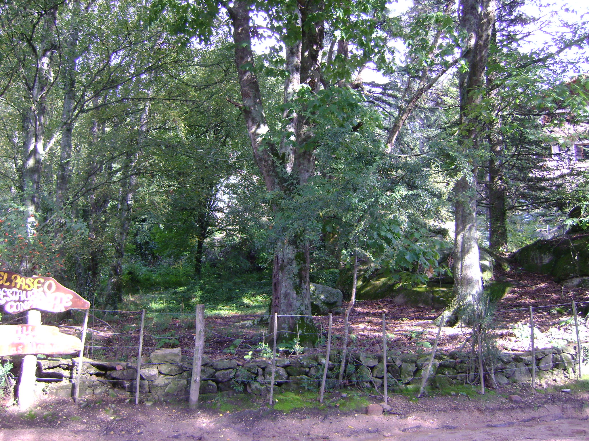 fotos/2011 - Los Reartes/DSC03360.JPG